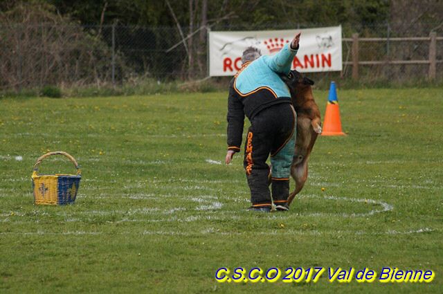 2017 Ring-Chassal-Deckers (119) (Copier).jpg
